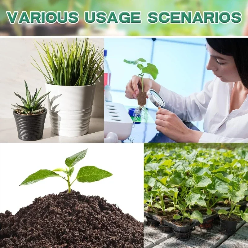 Kit de démarrage de semis en é - Hydroponic Kit avis et prix