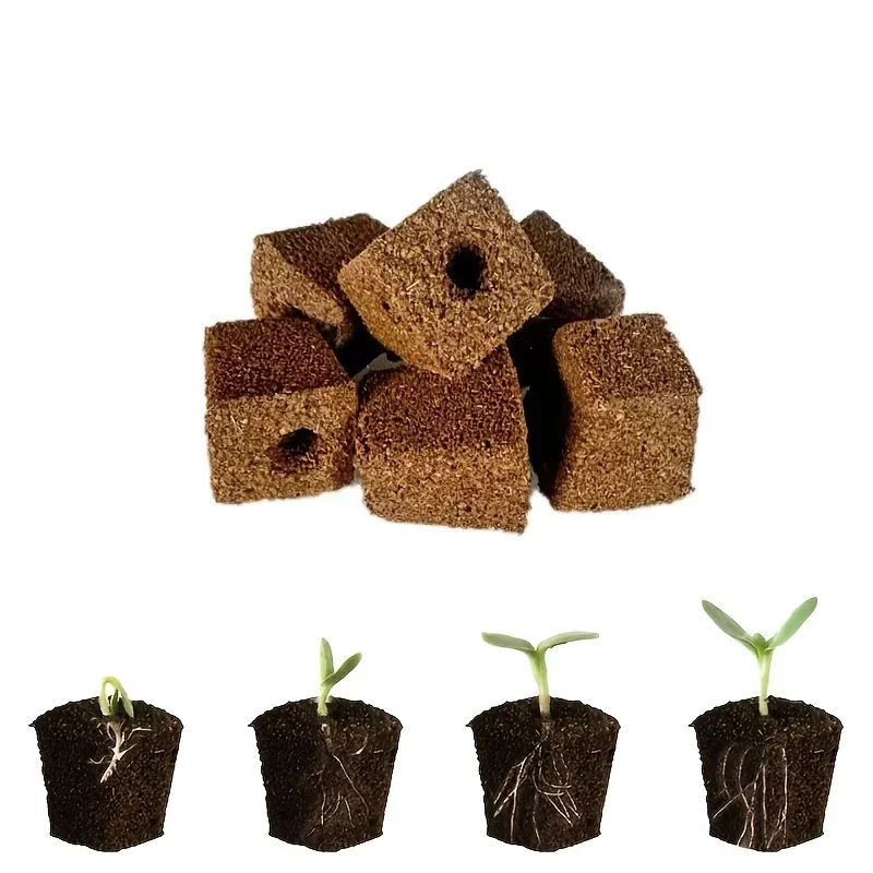 Kit de démarrage de semis en é - Hydroponic Kit avis et prix