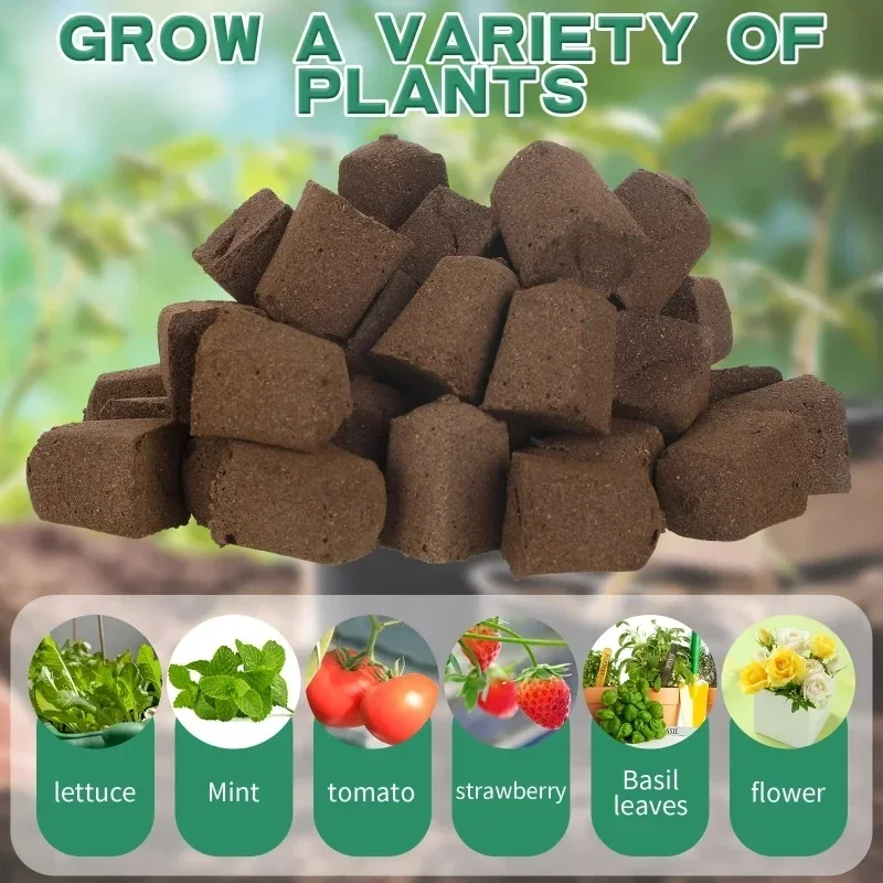 Kit de démarrage de semis en é - Hydroponic Kit avis et prix