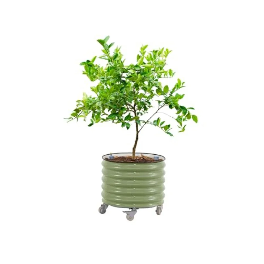 Pot à plantes roulant pour agr - Self Watering Planter avis et prix