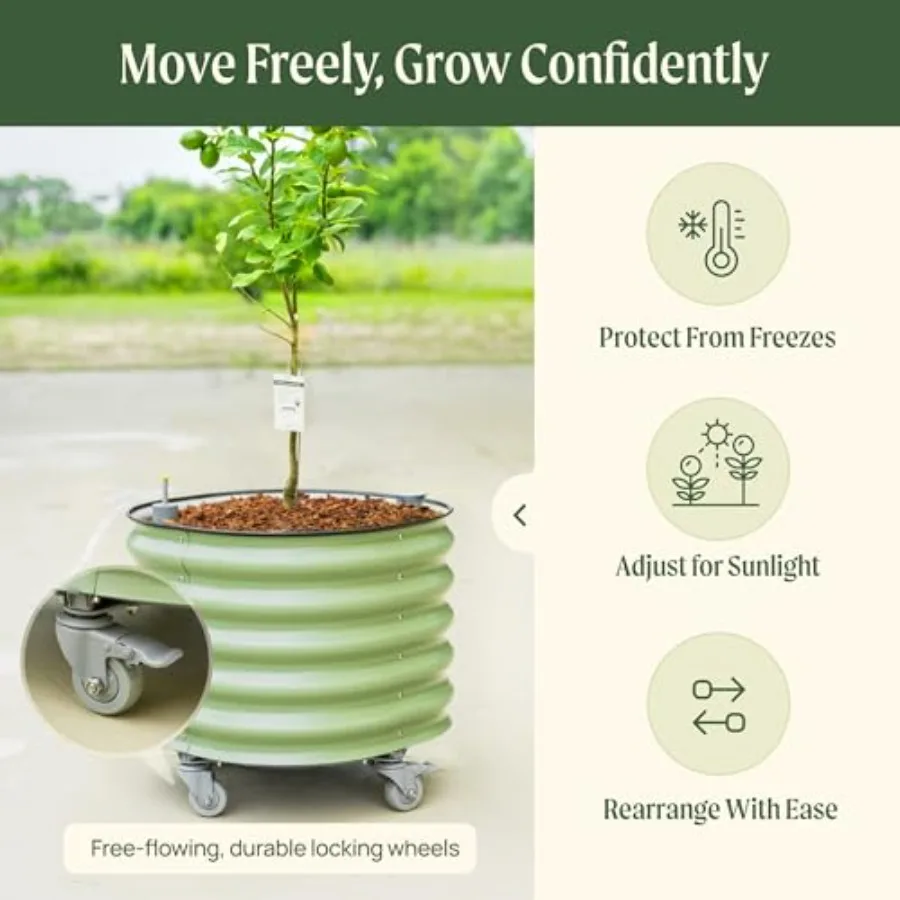 Pot à plantes roulant pour agr - Self Watering Planter avis et prix