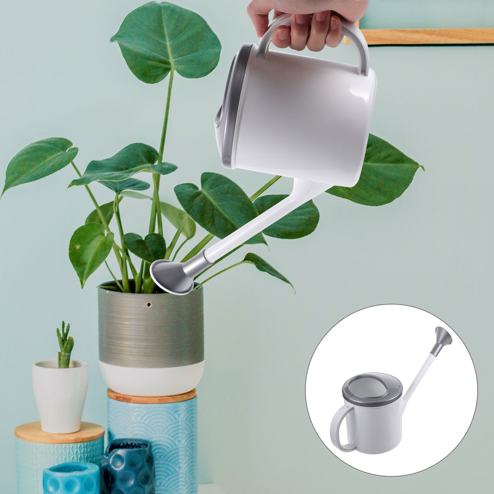 Arrosoir domestique à bec long - Watering Can avis et prix
