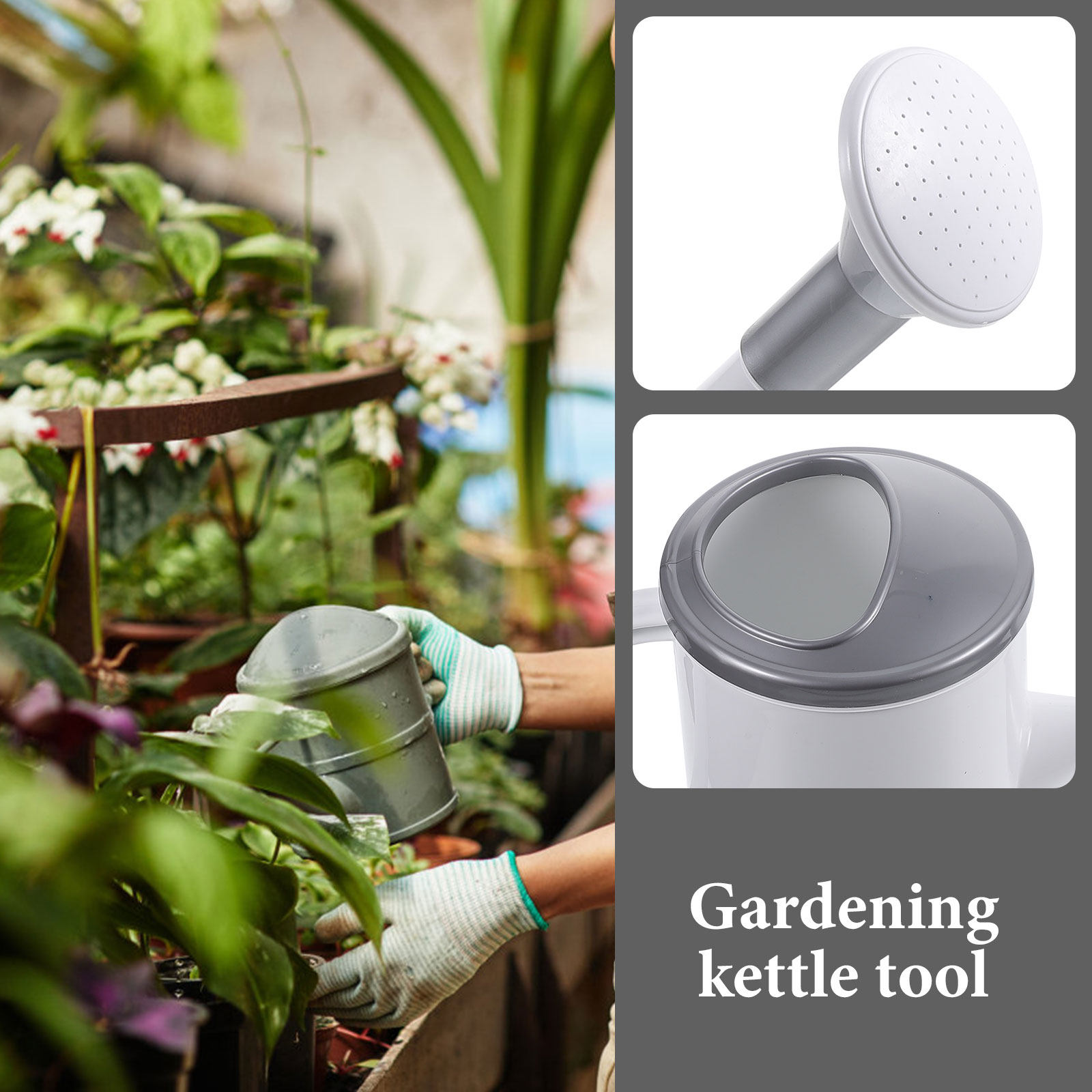 Arrosoir domestique à bec long - Watering Can avis et prix