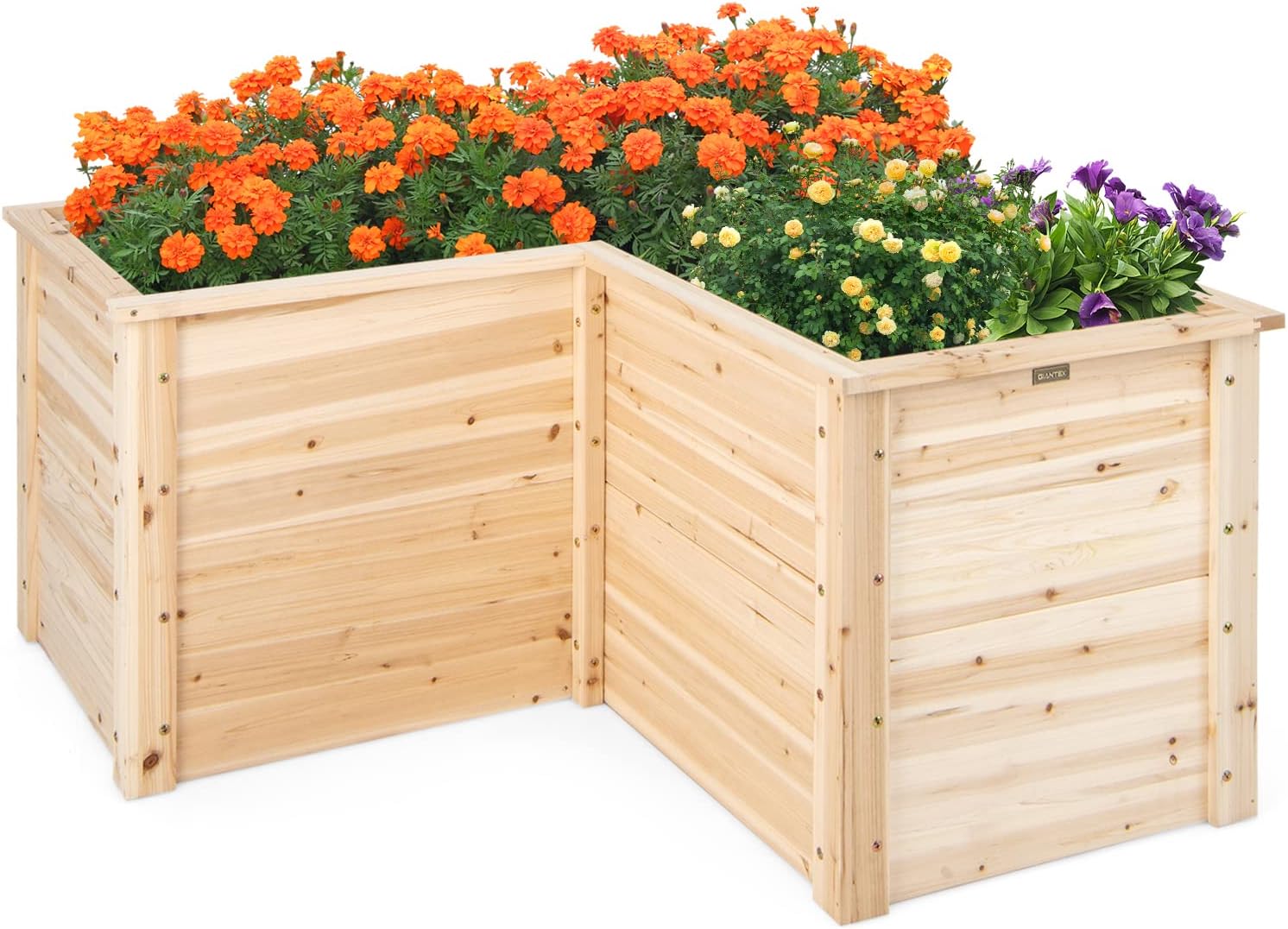 Bac à légumes surélevé en bois - Raised Garden Bed avis et prix