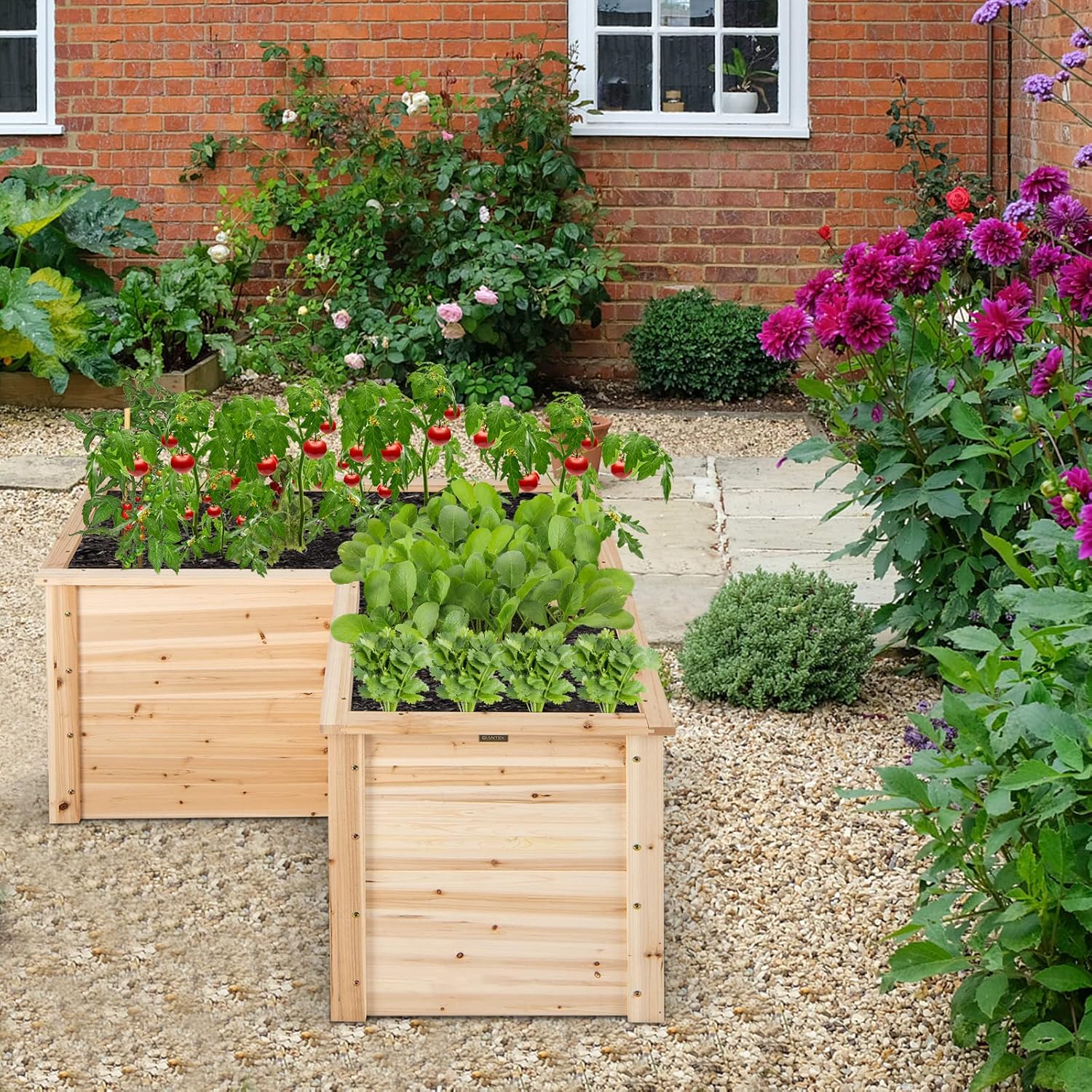 Bac à légumes surélevé en bois - Raised Garden Bed avis et prix