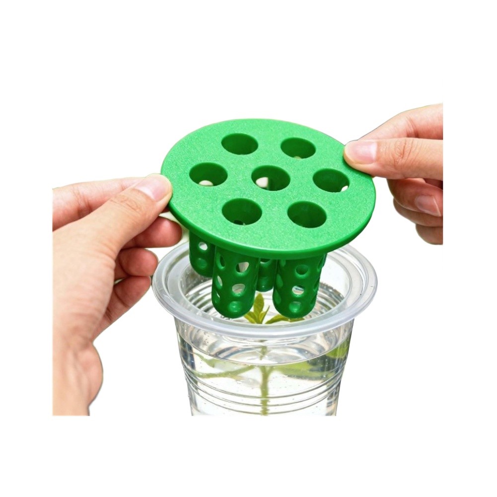 Kits de germination pour oigno - Hydroponic Kit avis et prix