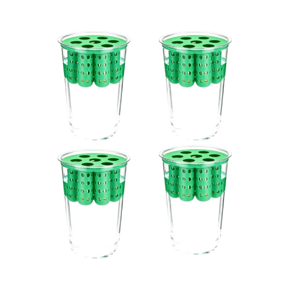 Kits de germination pour oigno - Hydroponic Kit avis et prix