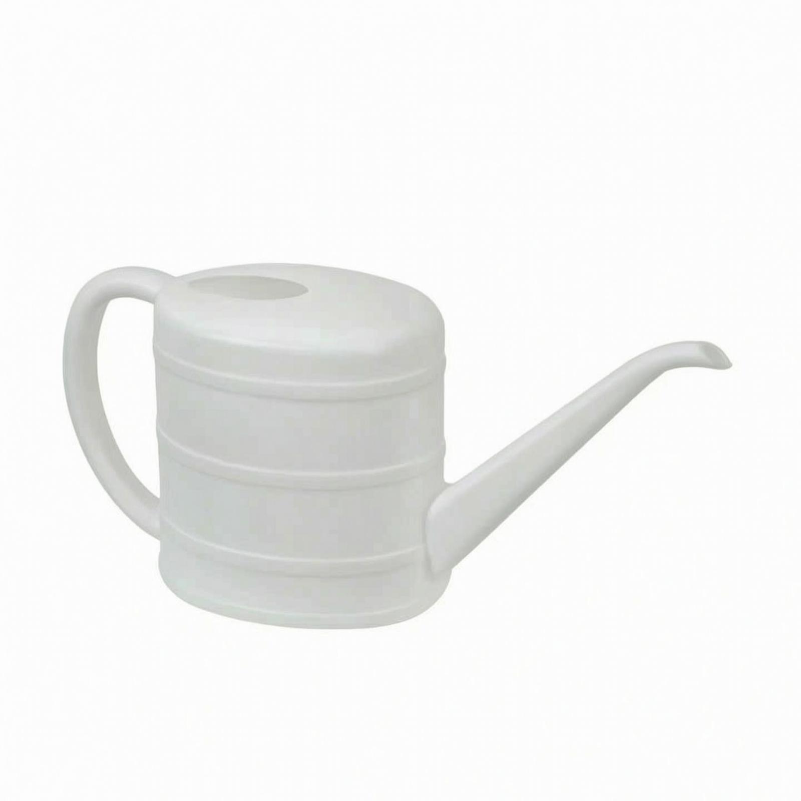 Arrosoir à long bec facile à n - Watering Can avis et prix
