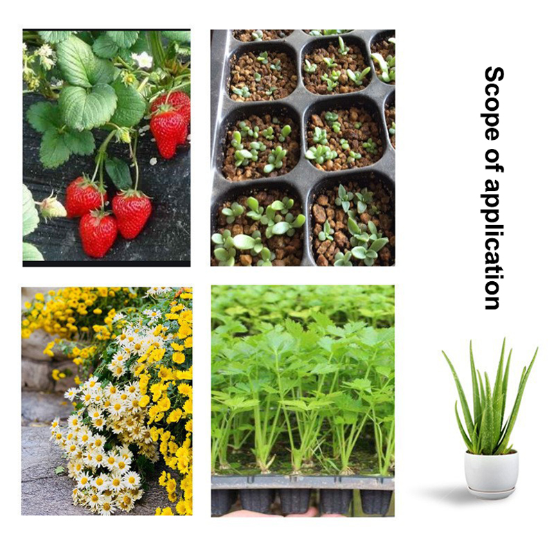 Plateaux de semis en plastique - Seed Starter Tray avis et prix
