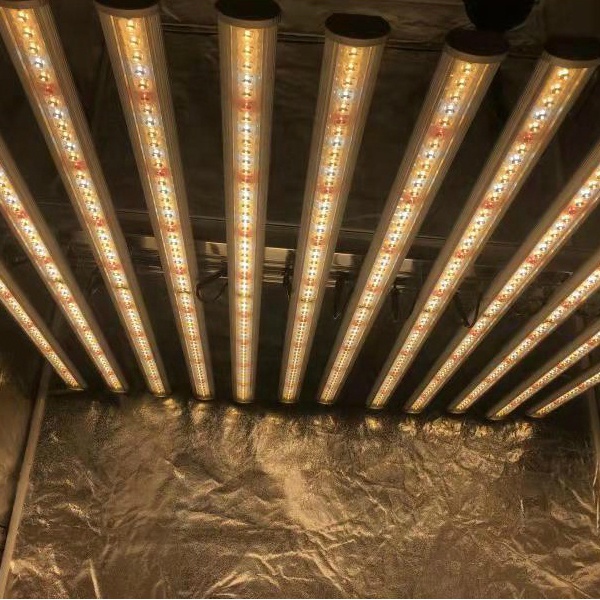 LUX Usine chinoise d'éclairage - Grow Light Led avis et prix