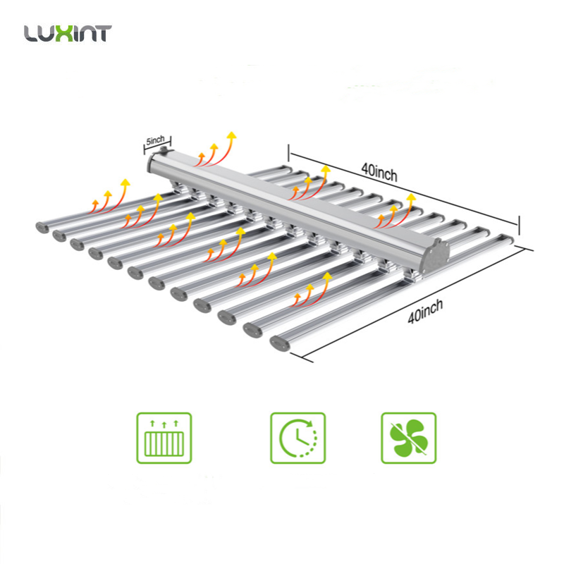 LUX Usine chinoise d'éclairage - Grow Light Led avis et prix
