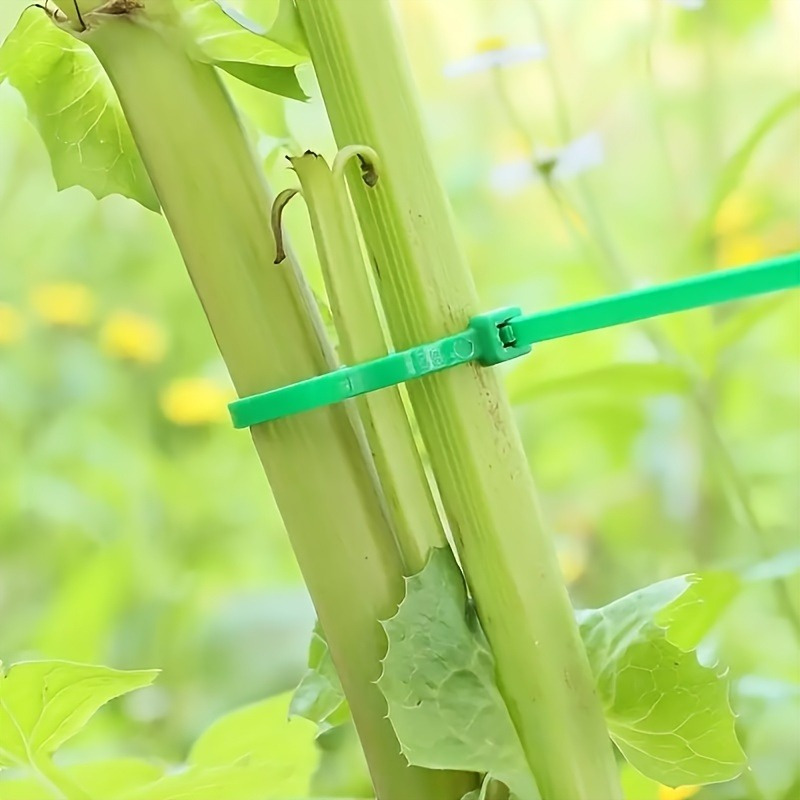 100 pièces d'attaches de câble - Plant Pot avis et prix