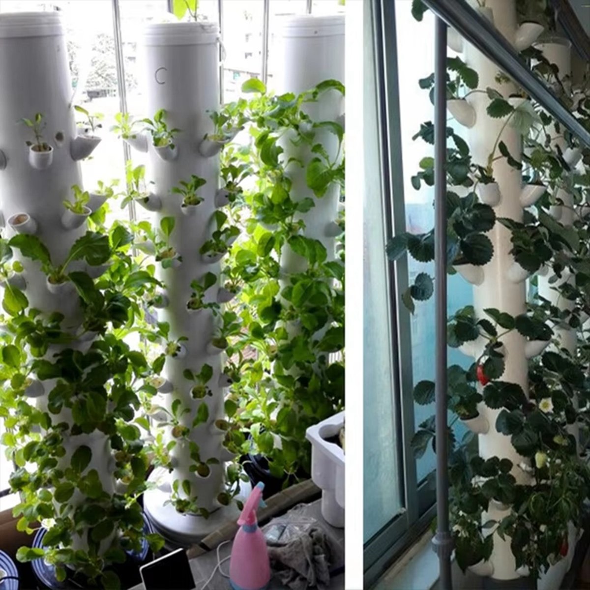 Tour verticale hydroponique DI - Plant Pot avis et prix