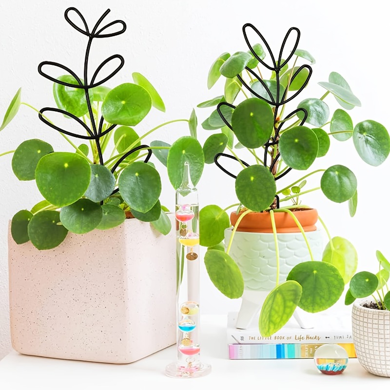 Cadre de Support pour plantes, - Indoor Herb Garden avis et prix