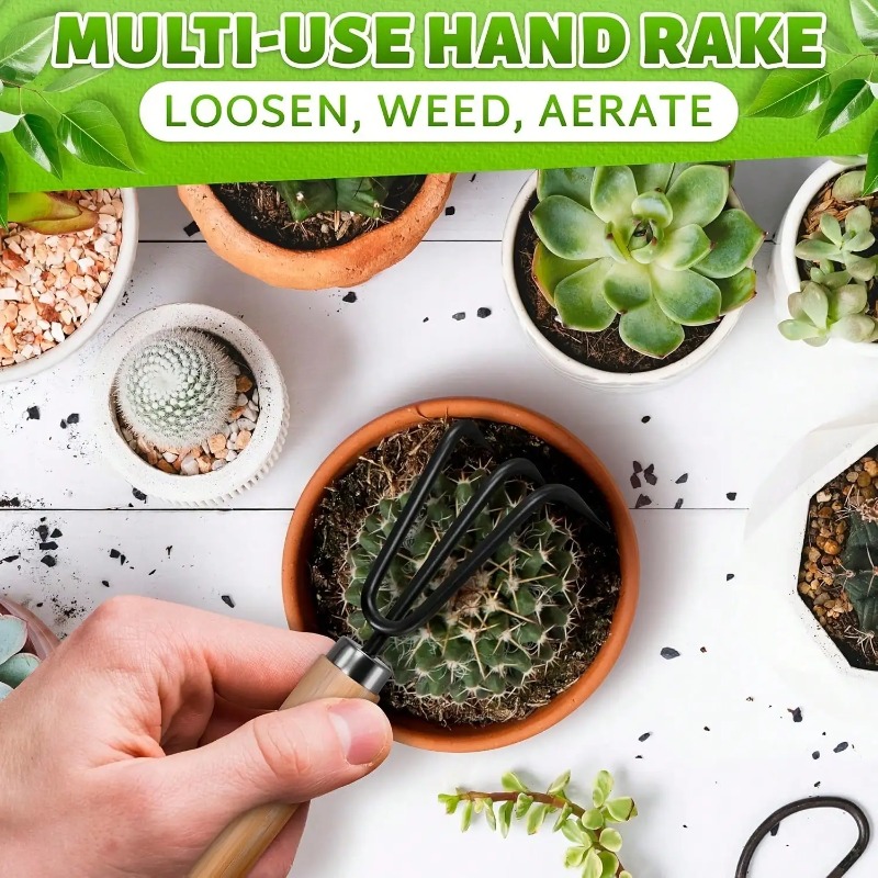 Ensemble d'outils de jardinage - Indoor Herb Garden avis et prix