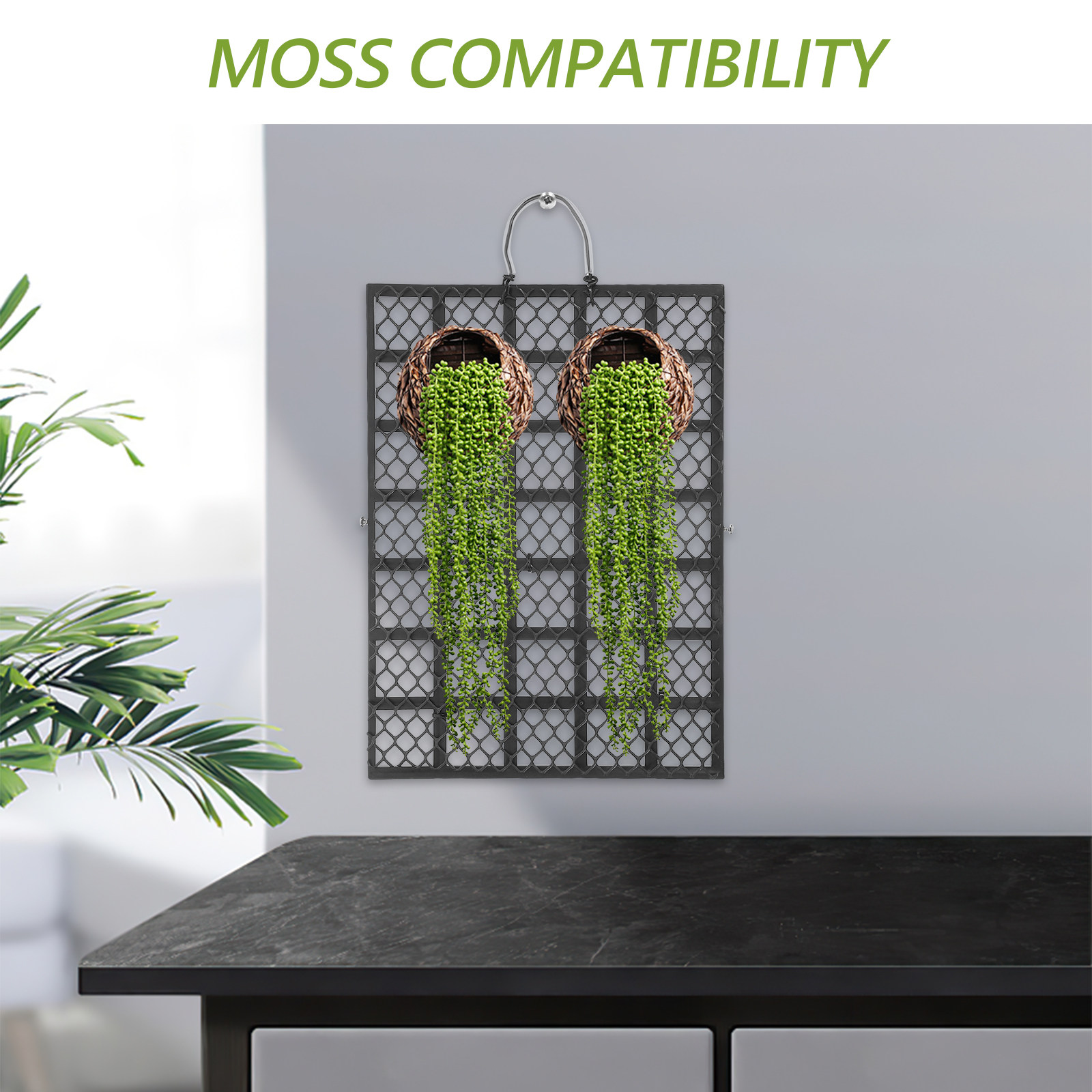 Planche de plantation murale r - Vertical Planter avis et prix