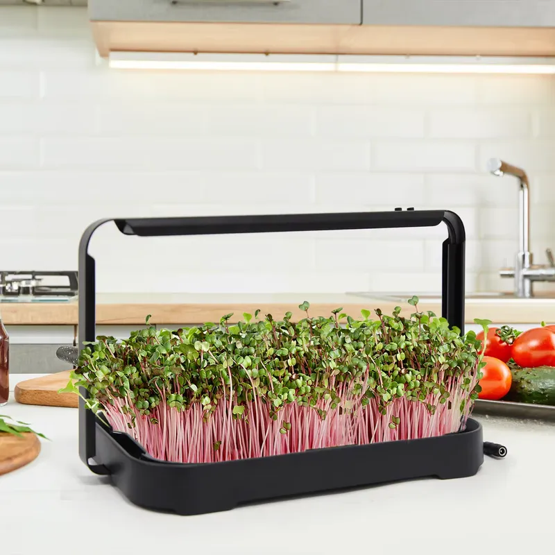 Bac hydroponique pour micro-lé - Hydroponic Kit avis et prix