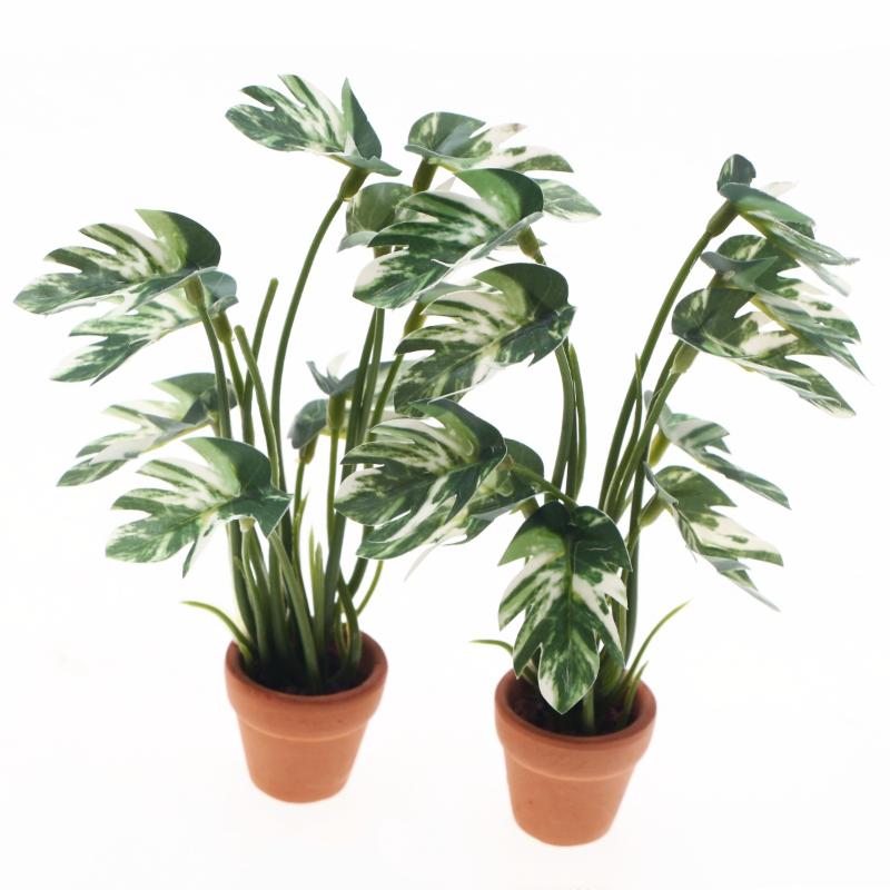 Nouveau. 1 pièce. Plante verte - Plant Pot avis et prix