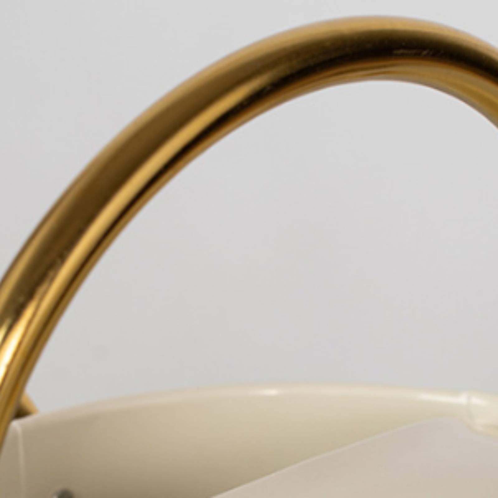 Arrosoir à long bec, pot à eau - Watering Can avis et prix