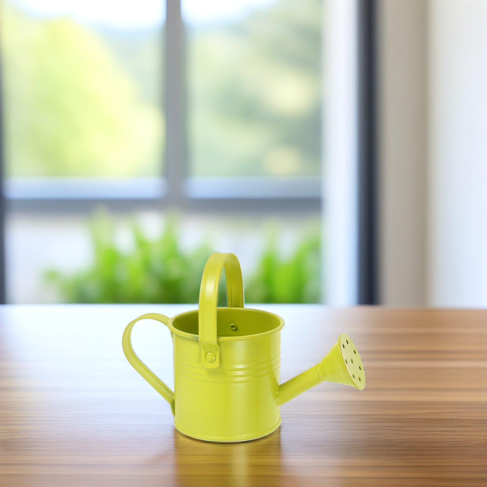 Petite arrosoir en métal galva - Watering Can avis et prix
