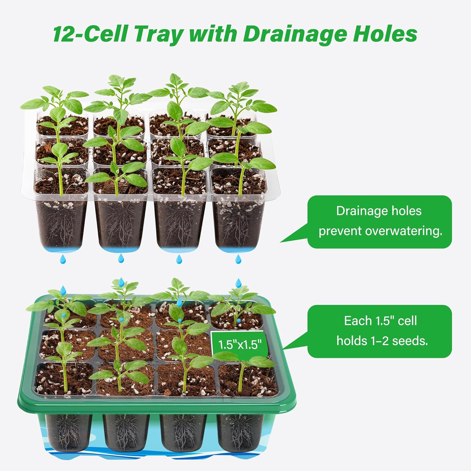 Kit de démarrage pour semis av - Seed Starter Tray avis et prix