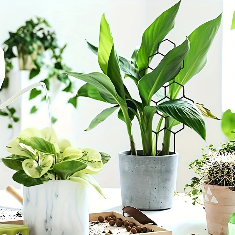 1 treillis pour plantes en for - Indoor Herb Garden avis et prix