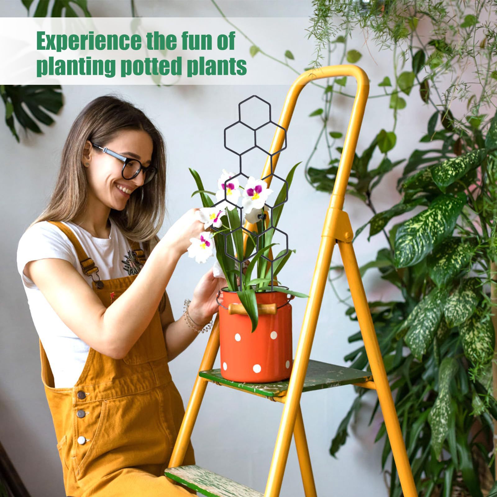 1 treillis pour plantes en for - Indoor Herb Garden avis et prix