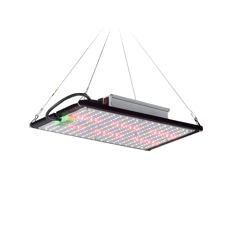 Lampe de culture LED Quantum-B - Grow Light Led avis et prix