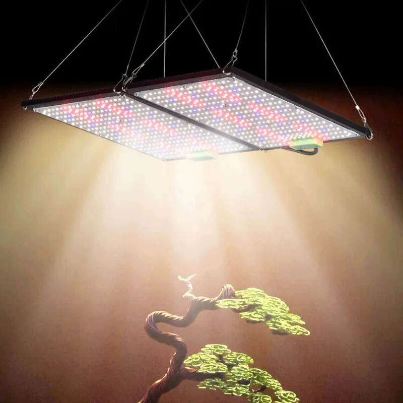 Lampe de culture LED Quantum-B - Grow Light Led avis et prix